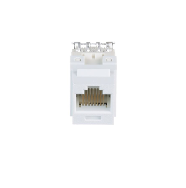 UTP RJ45 Cat 6 Punchdown Keystone Jack Module, WH